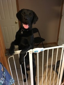 Mom! I thought you would never home!