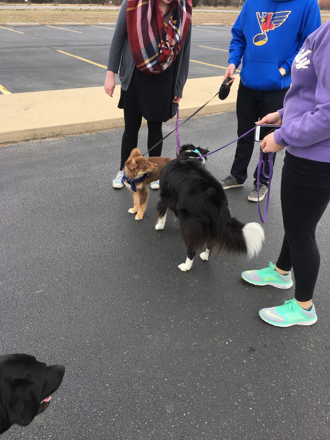 07571D99-0037-44D8-9988-CE8432FFBE56