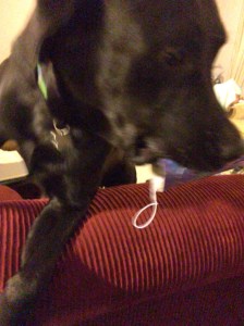 520E92BB-9733-40BA-9F17-4726CB25DD0C