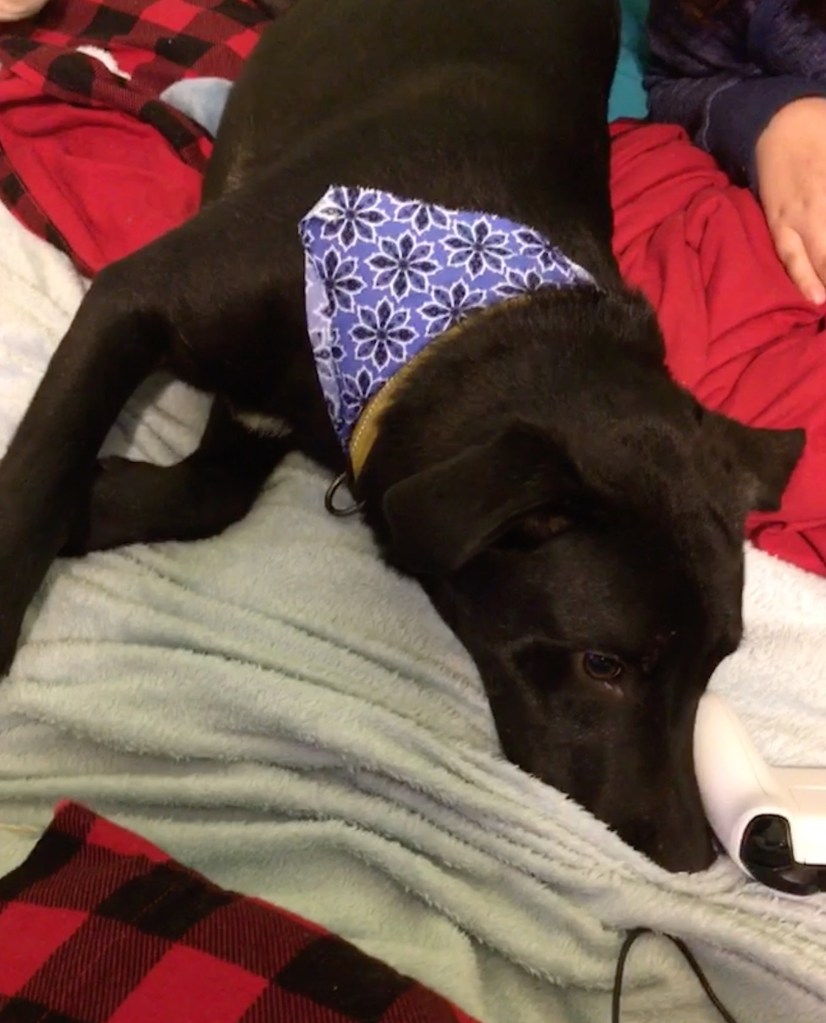 CFCBC16A-3306-4B0B-A6DD-C31A33821301