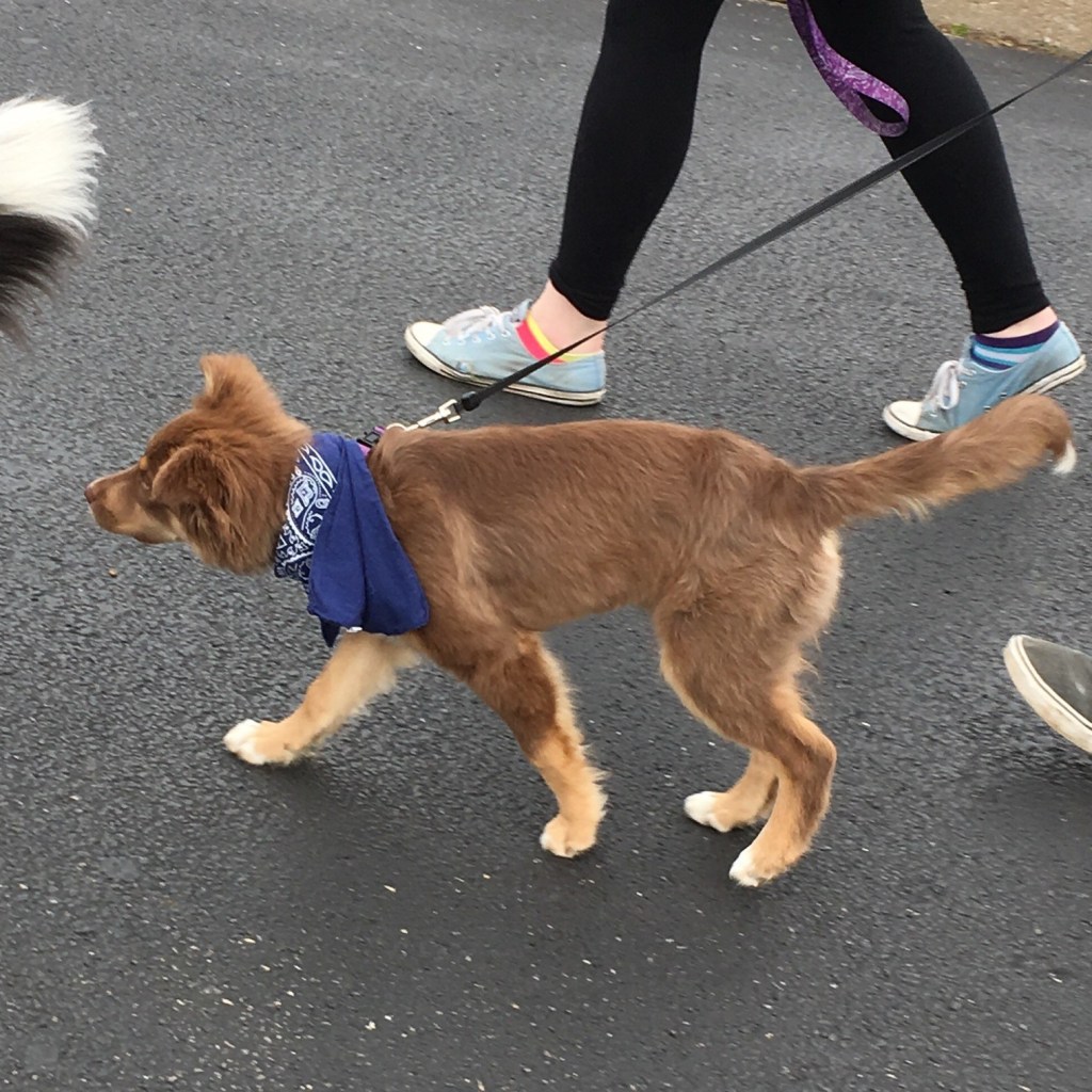 D84DA867-A17B-4479-BAB2-C47E0514FBDF