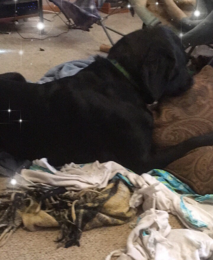 1e2dc20d-77b4-44ce-85cc-16dc549ef129