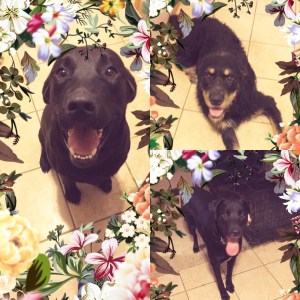 41b3ee98-6ead-4c81-a8f4-e587a30bf4bd