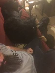 56106737959__6deeb95c-c0cd-41df-a927-de363180f5f8